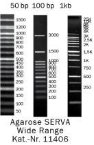 Agarose Wide Range-s.jpg